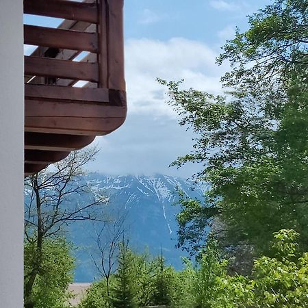 Ara Chalet Бран Экстерьер фото